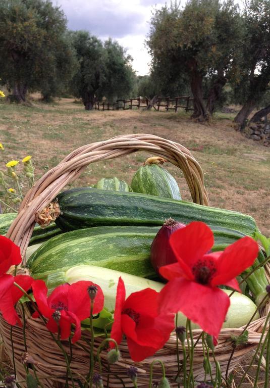 Agriturismo Prati Degli Orti Монтияно Экстерьер фото