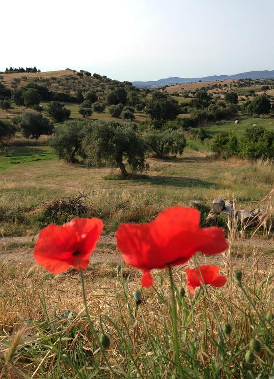 Agriturismo Prati Degli Orti Монтияно Экстерьер фото