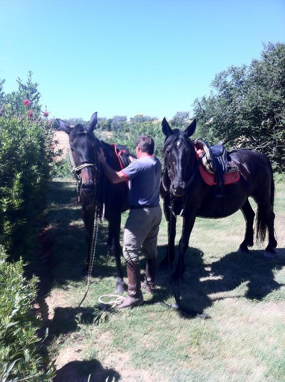 Agriturismo Prati Degli Orti Монтияно Экстерьер фото