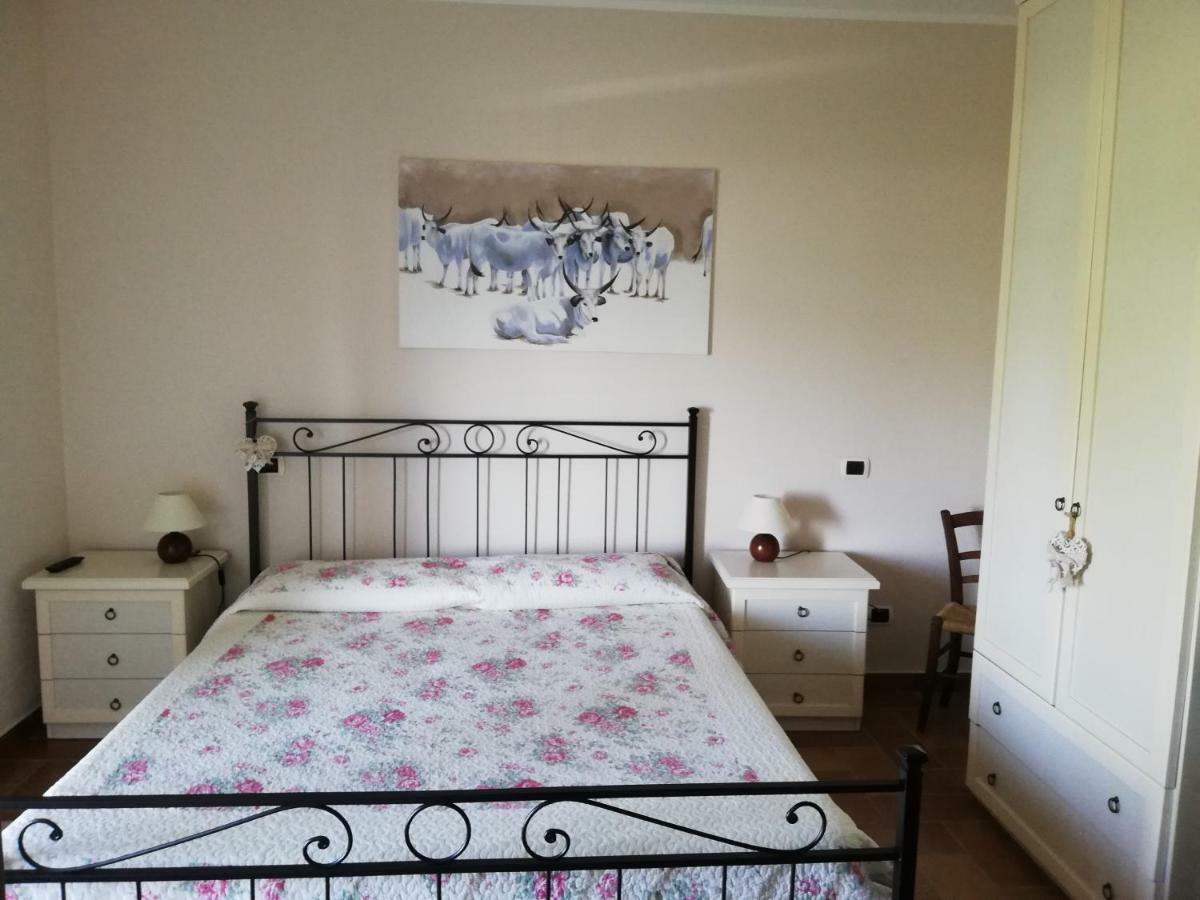 Agriturismo Prati Degli Orti Монтияно Экстерьер фото