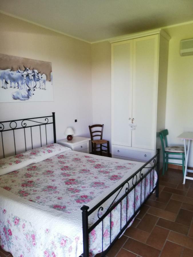 Agriturismo Prati Degli Orti Монтияно Экстерьер фото